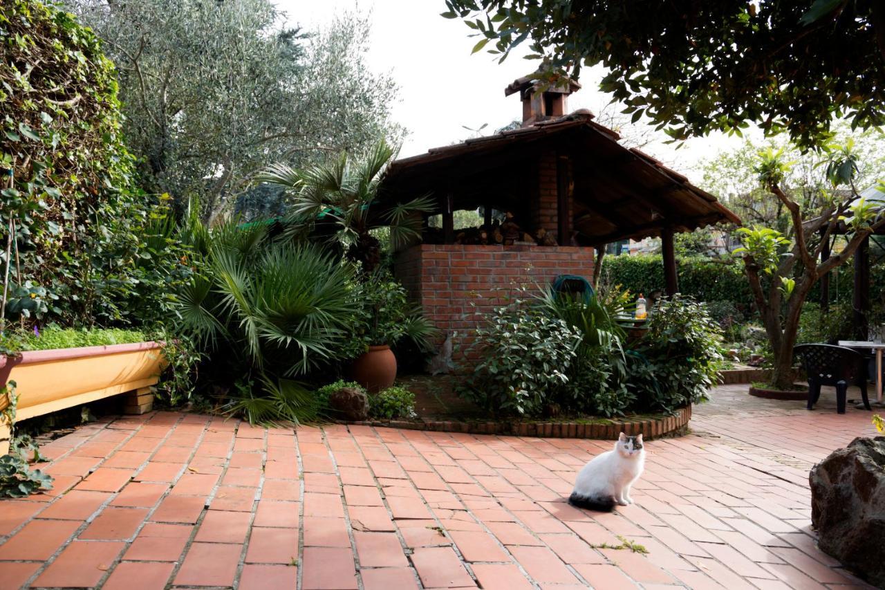 L'Acchiappasogni Bed And Breakfast Colle di Fuori 외부 사진